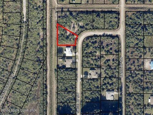 2828  Sage Avenue, Palm Bay, Florida 32908