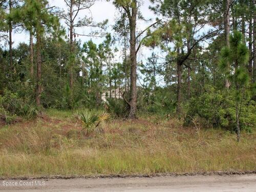 Lot 25 Opal Street SW, Palm Bay, FL 32908