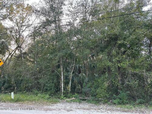 0000 Turpentine Road, Mims, FL 32754