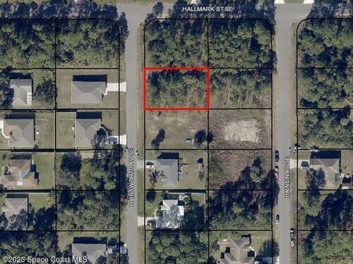 3207 Hainsworth Avenue SE, Palm Bay, FL 32909