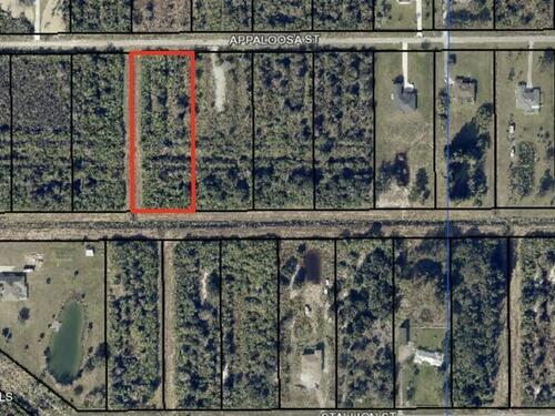 285 Appaloosa Street, Palm Bay, FL 32909