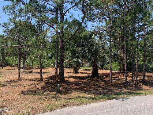 2454 Anchor Road SE, Palm Bay, FL 32909