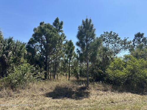 Firebrand Street SW, Palm Bay, FL 32908