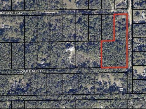 Burning Tree Avenue, Cocoa, FL 32926