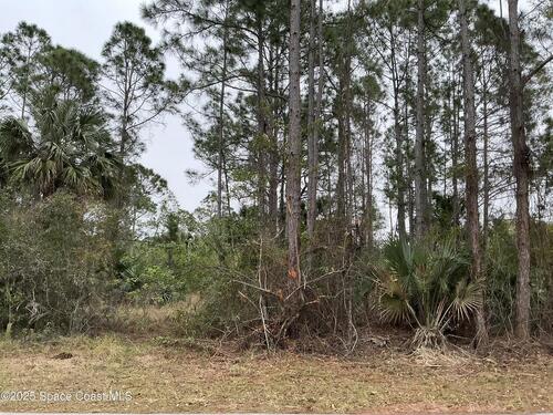 137 Santa Rosa Avenue SW, Palm Bay, FL 32908