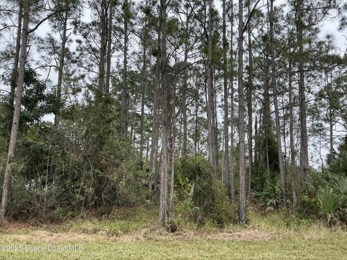 125 Santa Rosa Avenue SW, Palm Bay, FL 32908