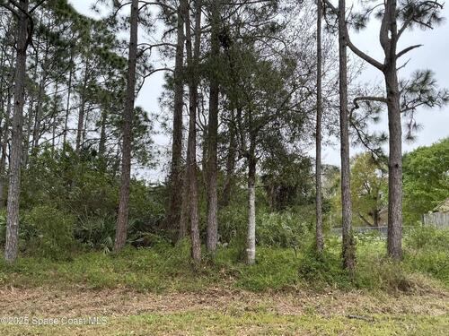 149 Santa Rosa Avenue SW, Palm Bay, FL 32908