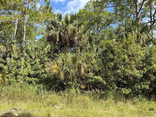 Frederick Street SW, Palm Bay, FL 32908