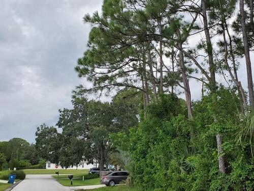 415 Caribbean Street SE, Palm Bay, FL 32909