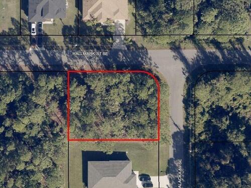 3200 Halacka (Cor Hallmark) Avenue SE, Palm Bay, FL 32909