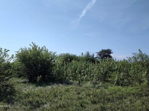 790 SW Burgess Street SW, Palm Bay, FL 32908