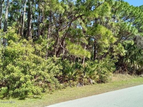 473 Galhouse Street SW, Palm Bay, FL 32908