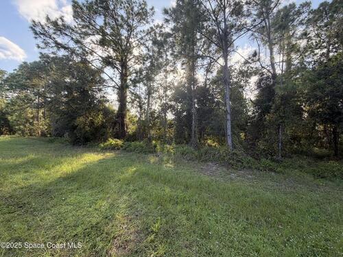 3900 Rambling Acres Drive, Titusville, FL 32796