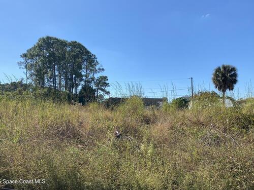 2612 Palmer Avenue SE, Palm Bay, FL 32909