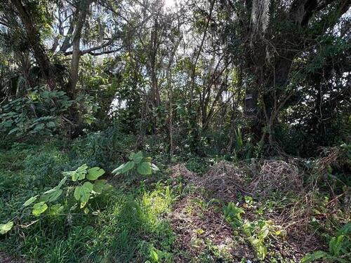 2511 Hathaway Drive, Cocoa, FL 32926