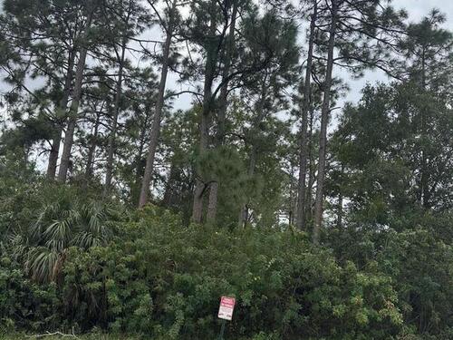 1756 Agora Circle SE, Palm Bay, FL 32909