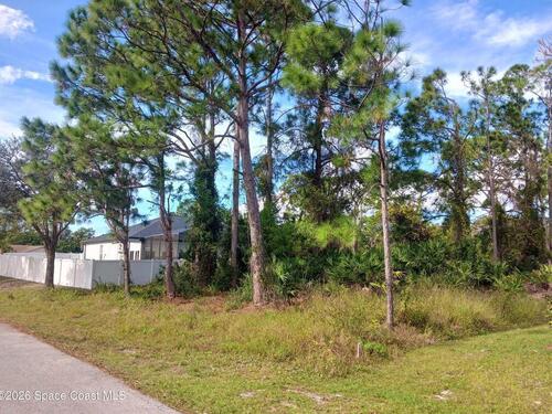 249 San Luis Street SW, Palm Bay, FL 32908