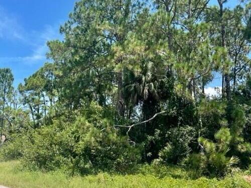 171 & 177 Shalimar Avenue NW, Palm Bay, FL 32907