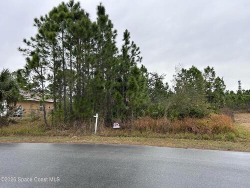 2991 Tinley Road SE, Palm Bay, FL 32909