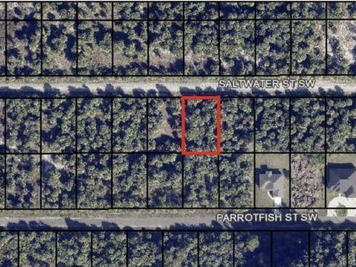 842 Saltwater Street SW, Palm Bay, FL 32908