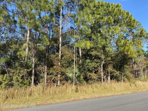 2195 Ramsdale Drive SE, Palm Bay, FL 32909