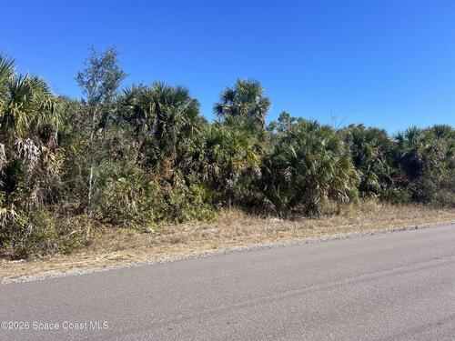 541 La Goy Street SW, Palm Bay, FL 32908