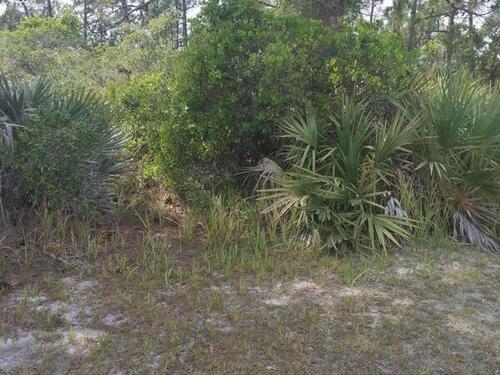 Unknown Vacant Land Canveral Grove, Cocoa, FL 32926