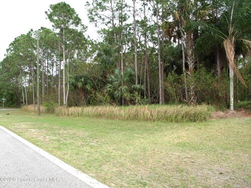 448 Krassner Drive NW, Palm Bay, FL 32907