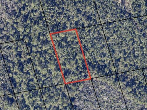 No Access, Mims, FL 32754