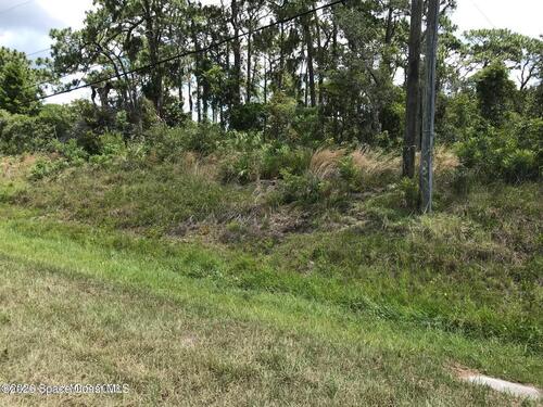 Unknown, Mims, FL 32754