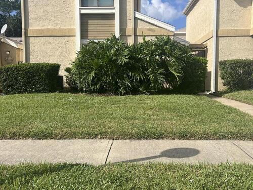 1460 NE Sheafe Avenue NE, Palm Bay, FL 32905