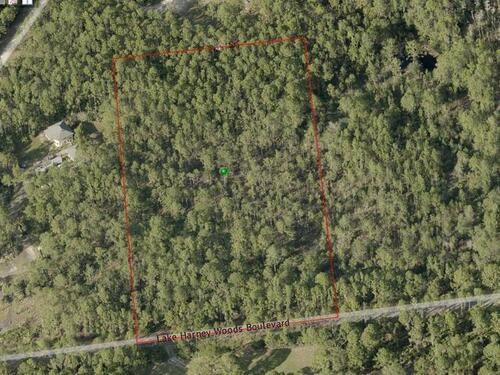 1430 Lake Harney Woods Boulevard, Mims, FL 32754